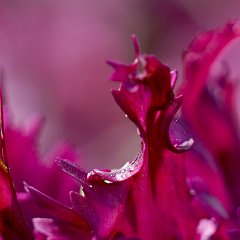 Gosia_Vollmer-1