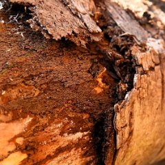 Henner_luebkemann-1