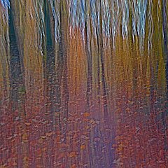 Reinhild (13)