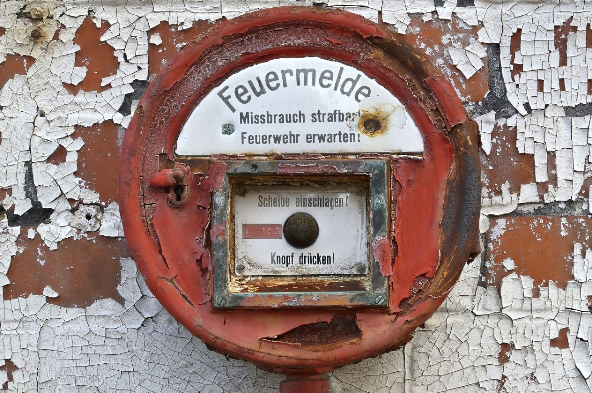Ulrich (24)