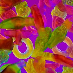 Ulrich_Reiss-1