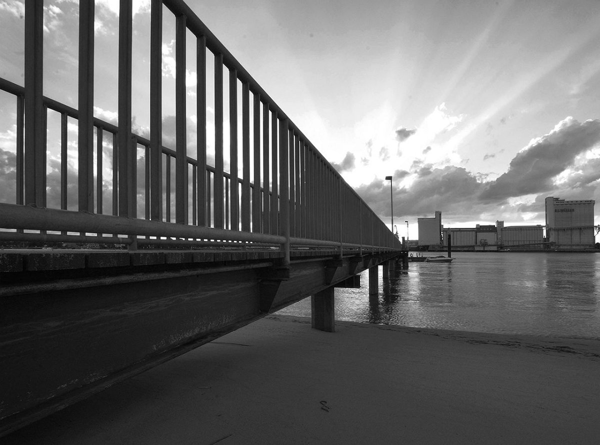 ffv_Marcus_Wenz-02