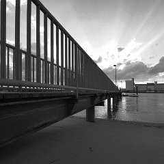 ffv_Marcus_Wenz-02