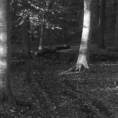 ffv_Reinhild_Homburg-03
