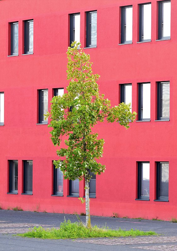 Dieter_Onken-2