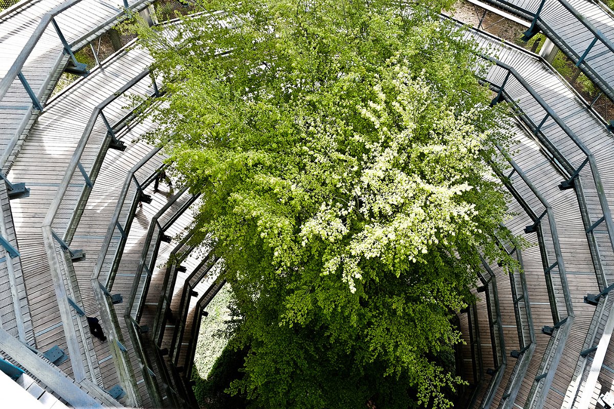 Eberhard_Altstaedt-3