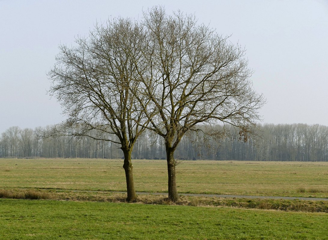 Henner_Luebkemann-1