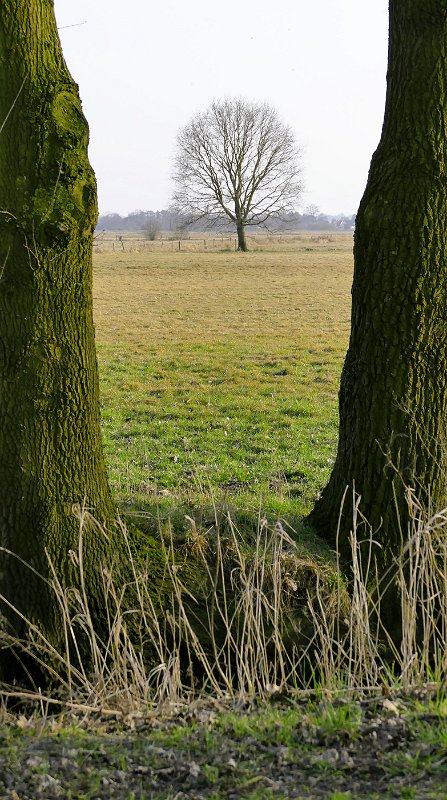 Henner_Luebkemann-3