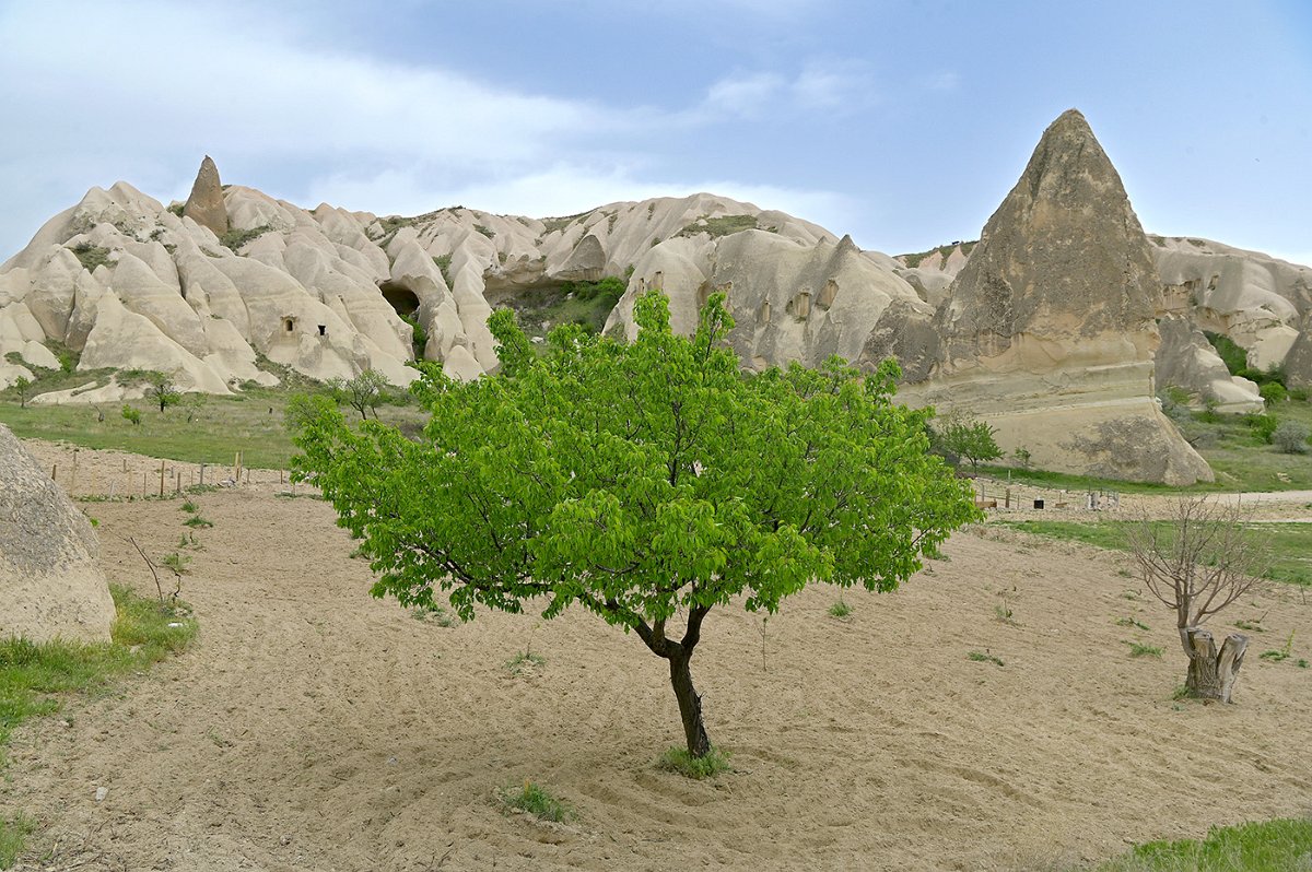 Ulrich_Reiss-2
