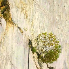 Dieter_Onken-1