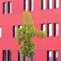 Dieter_Onken-2