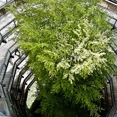 Eberhard_Altstaedt-3