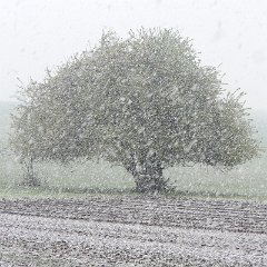 Edeltraut_Kueck-Hemme-2