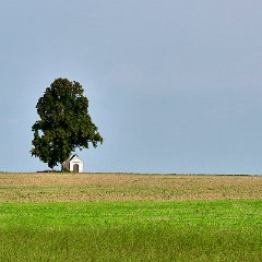 Gosia_Vollmer-3