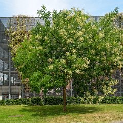 Hartmut_Hasse-1