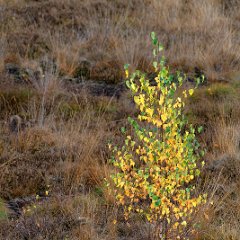 Hartmut_Hasse-2