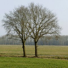 Henner_Luebkemann-1