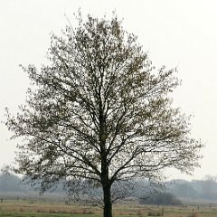 Henner_Luebkemann-2