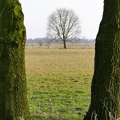 Henner_Luebkemann-3
