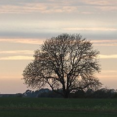 Manfred_Malth-1