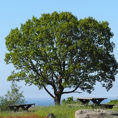 Manfred_Malth-2