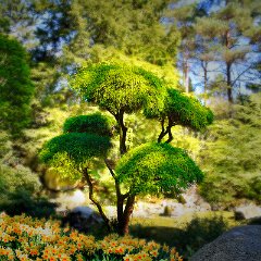 Norman_Hanko-1