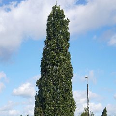 Peter_Mandrella-1