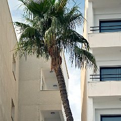 Reinhild_Homburg-2