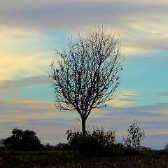 Reinhild_Homburg-3