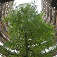 Ulrich_Reiss-1